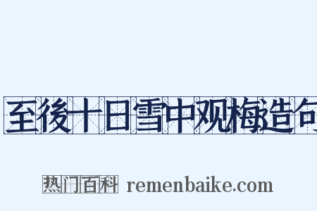 至後十日雪中观梅造句是什么意思的图片